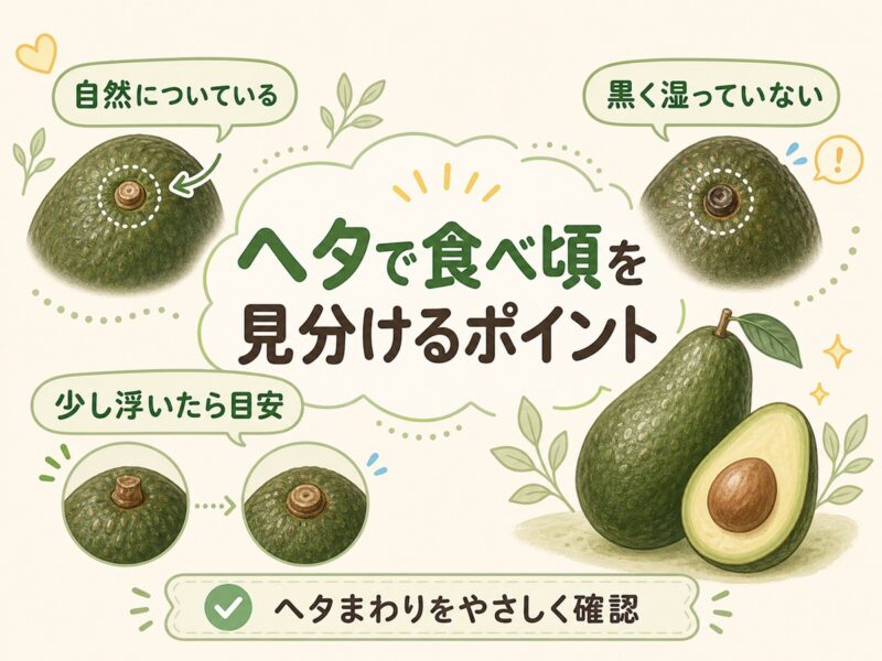 アボカドのヘタで食べ頃を見分けるポイント